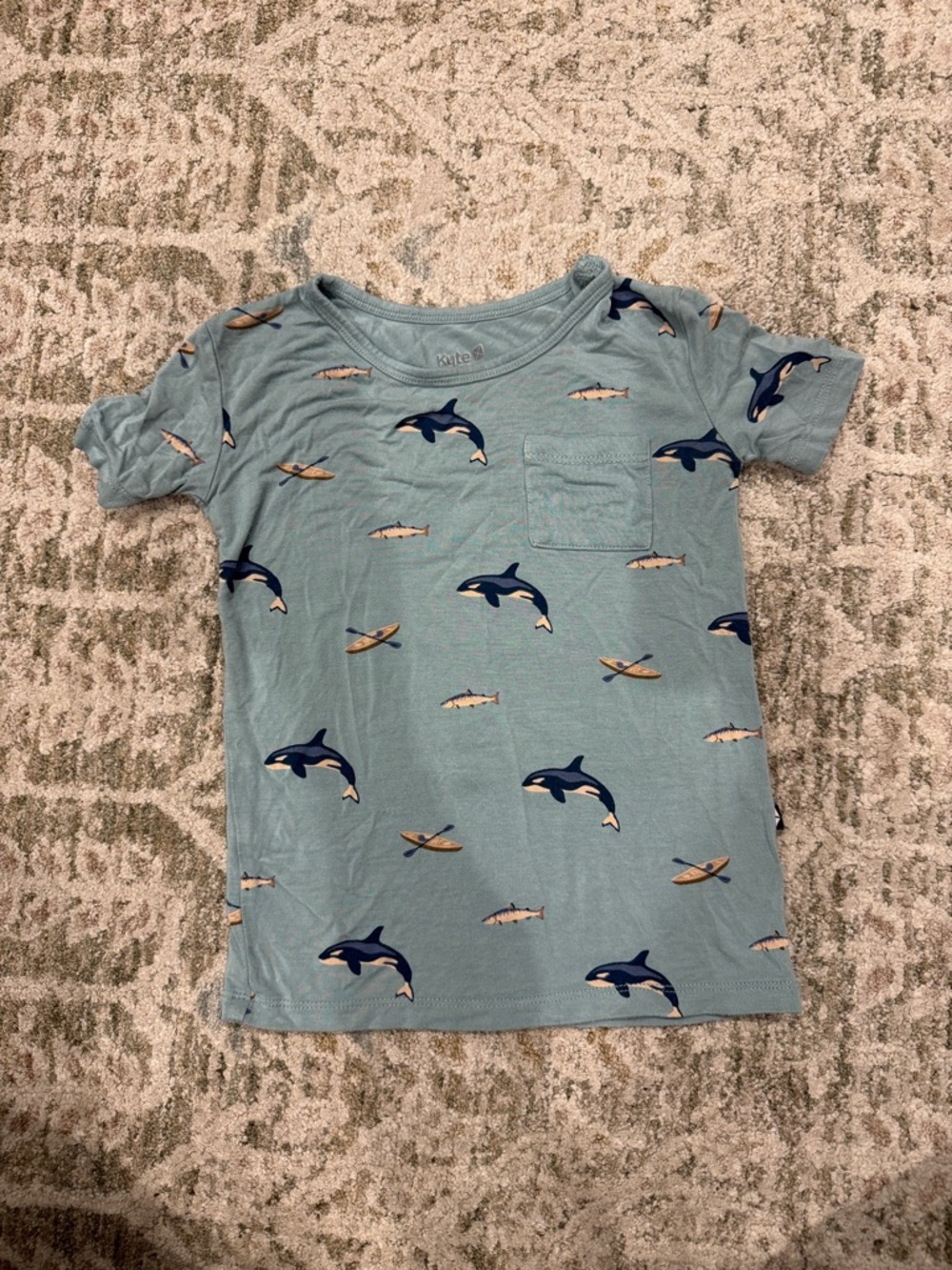 Kyte Baby Toddler T Shirt Size 4T